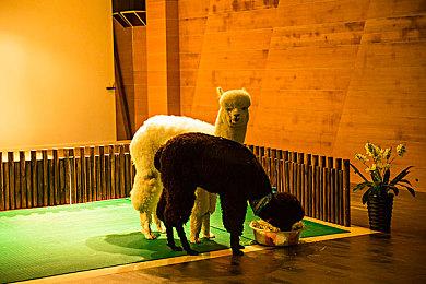 微软宣布收购动视暴雪后 索尼股价下跌超7%